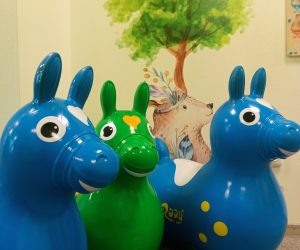 IMG_20250224_112059_1