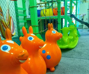 IMG_20250224_112224_5